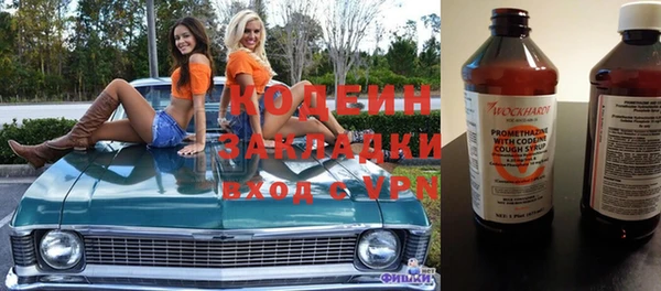 шишки Нея