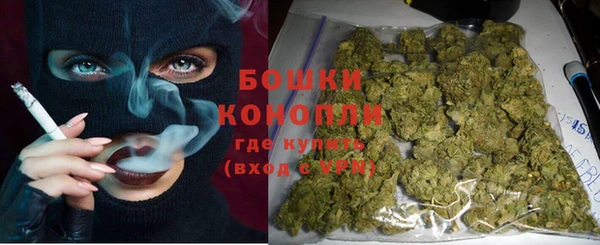 индика Рославль
