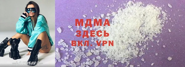 индика Надым