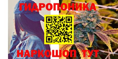 индика Берёзовский