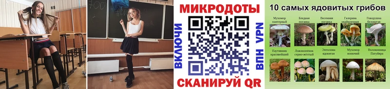 Псилоцибиновые грибы GOLDEN TEACHER  Карталы 