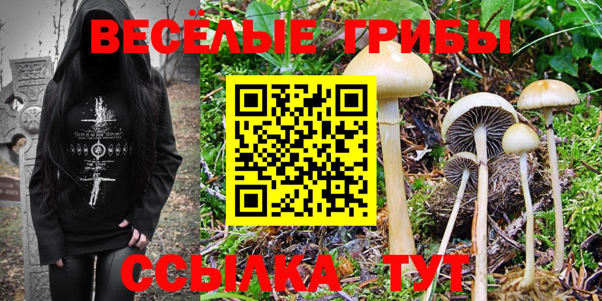 Карталы  Галлюциногенные грибы MAGIC MUSHROOMS  Псилоцибиновые грибы MAGIC MUSHROOMS  Вход с VPN 